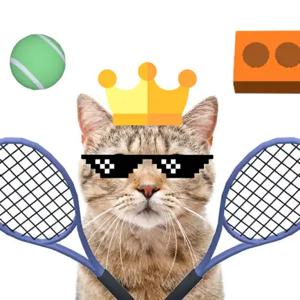 Cool Cat Tennis Cheats