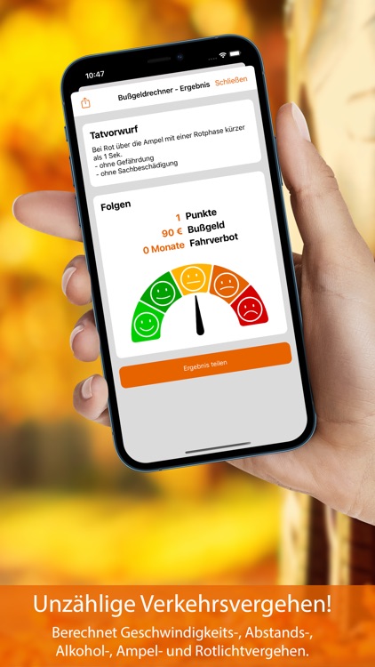 Bußgeldrechner 2025+ screenshot-3
