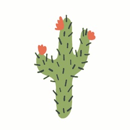 The Groovy Cactus