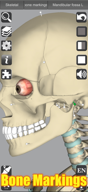 ‎Captura de tela de anatomia 3D