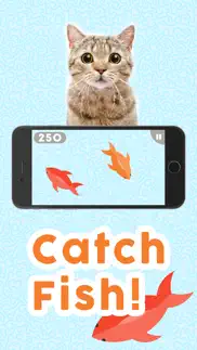 games for cats! iphone screenshot 1