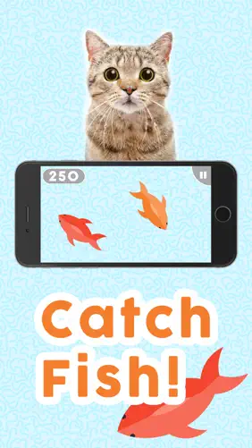 Games for Cats! screenshot 1