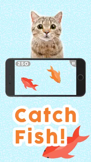 Games for Cats! screenshot 1