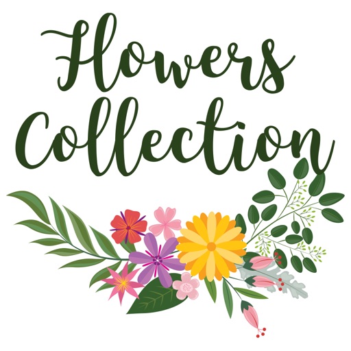 Flowers Collection