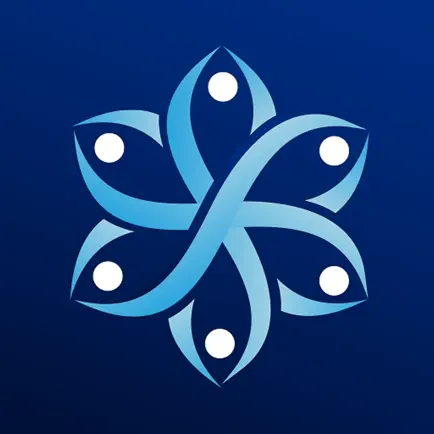 Binah Check Читы