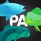 Pro Angler - Fishing App