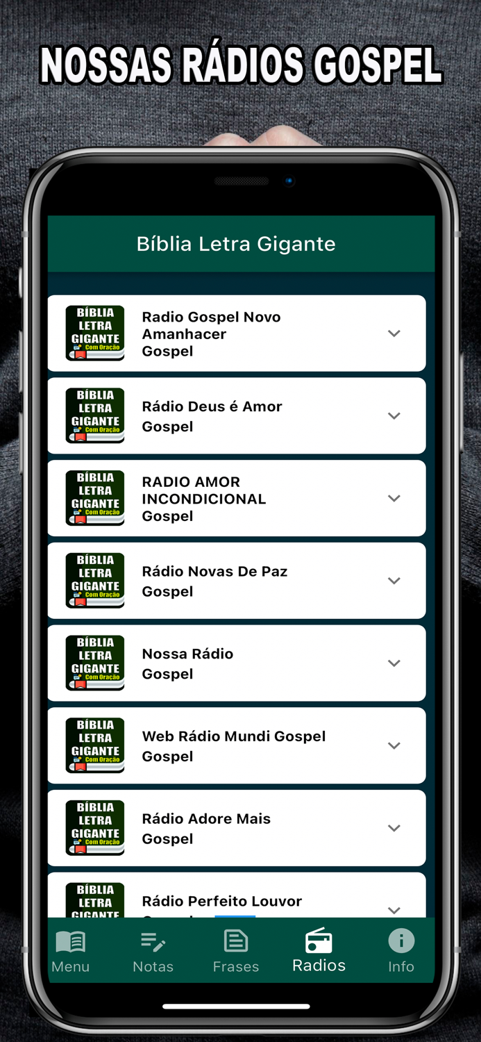 Bíblia Letra Gigante