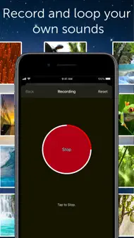 White Noise Pro iphone bilder 2