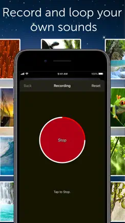 White Noise Pro iPhone image 3