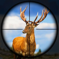 Hunting Games Animal Shooting