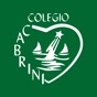 Basket Cabrini app download