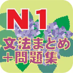 N1文法まとめ・問題集 app icon