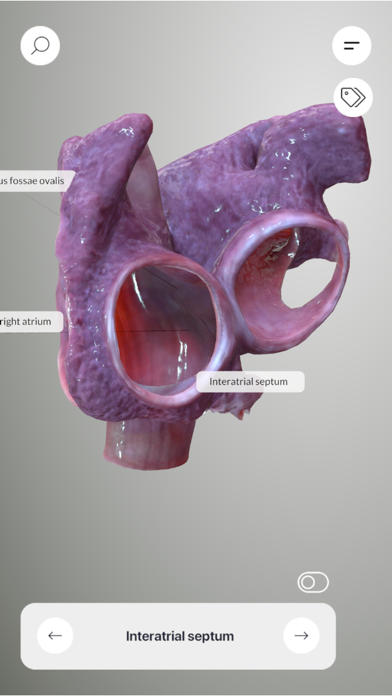 3D Heart Anatomyのおすすめ画像5