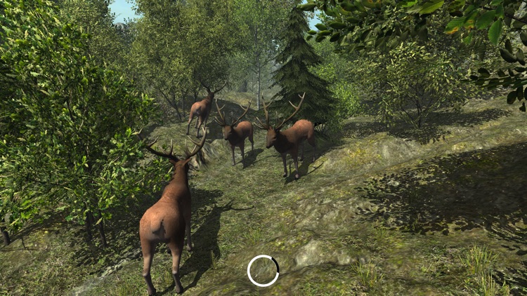 VR Zoo Animals Roller Coaster screenshot-7