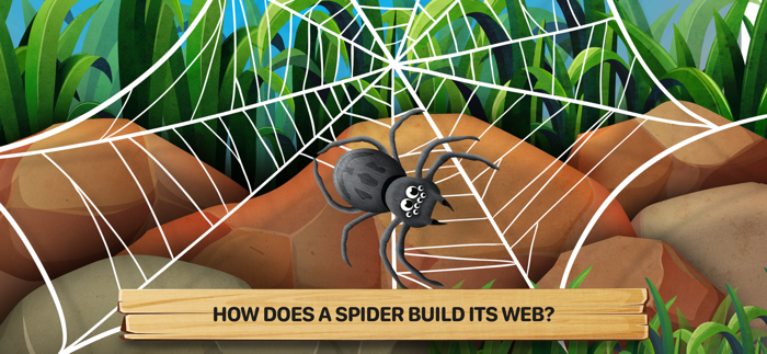 Bugs 2 What Are They Like