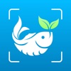 Fish Identifier ID Fish Verify icon