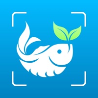 Plant & Fish: 植物の名前, 花の名前, 魚図鑑