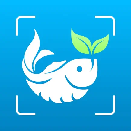 Fish Identifier ID Fish Verify Читы