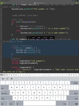Jedona - Compiler for Java screenshot 8