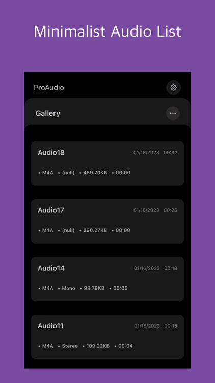 ProAudio - Voice Memos screenshot-5