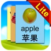 Chinese Flashcards Lite icon