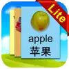 Chinese Flashcards Lite App Feedback