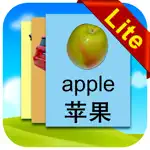 Chinese Flashcards Lite App Alternatives