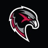 Pea Ridge Blackhawks Athletics icon