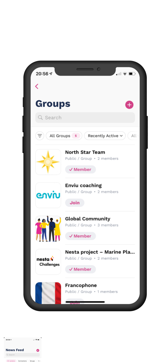 Proportion Global Community