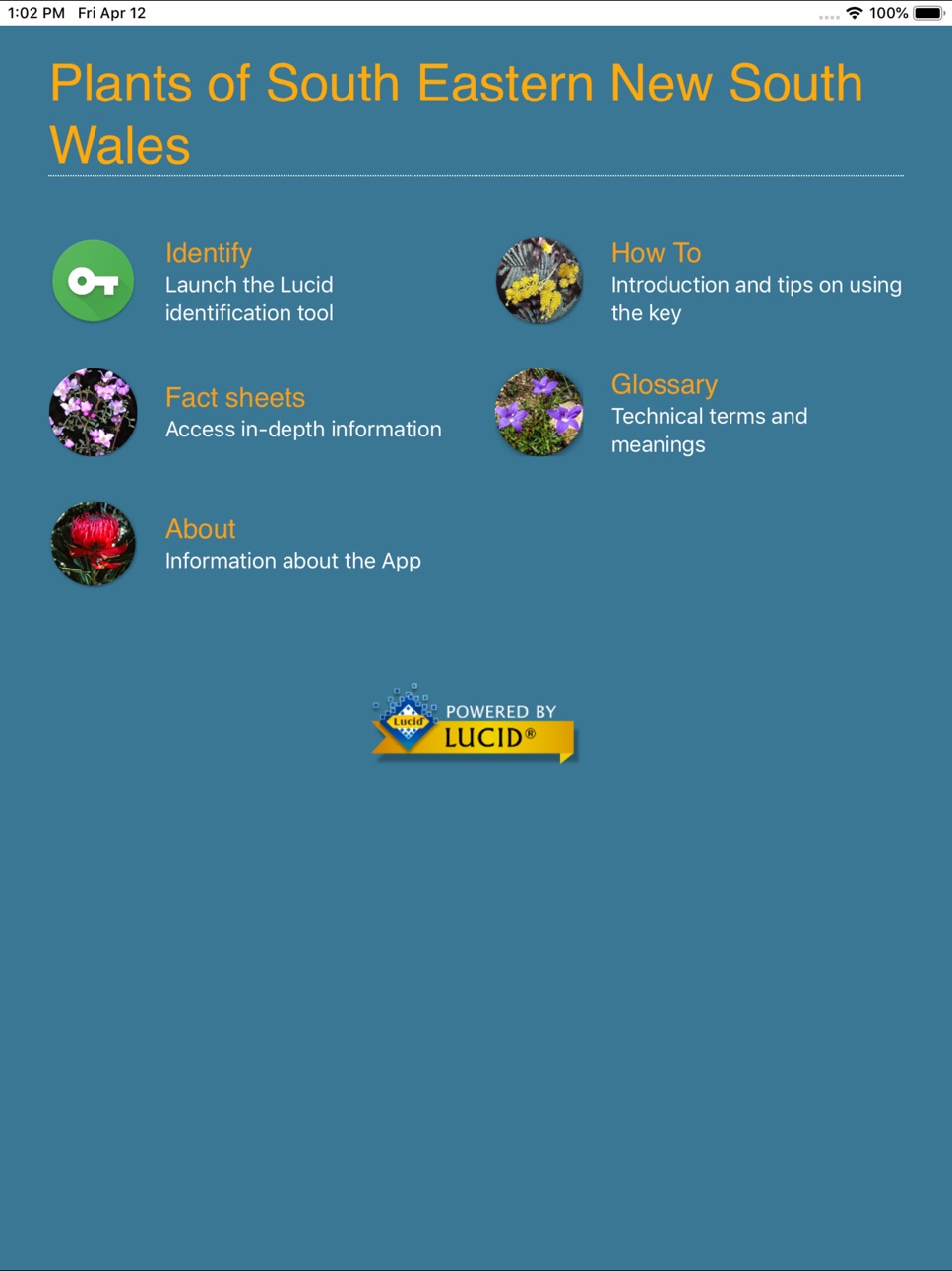 iPad screenshot