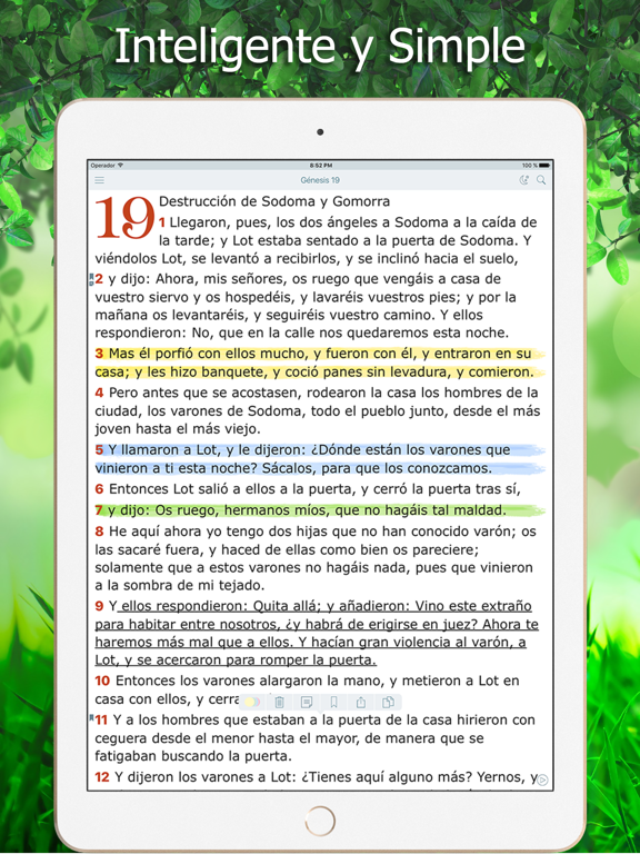 Screenshot #4 pour La Biblia Reina Valera Audio
