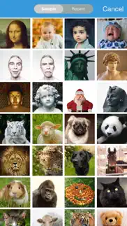 face story pro - change and morph face slideshow айфон картинки 1