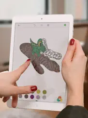 livre de coloriage dinosaure iPad Captures Décran 1