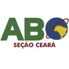 ABO CEARÁ problems & troubleshooting and solutions