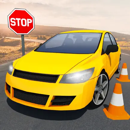 Car Parking 3D Driving School Cheats