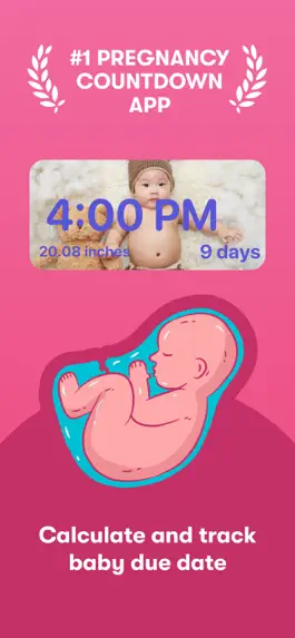 Game screenshot Baby Due Date Countdown Widget mod apk