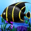 Frenzy Piranha Fish World