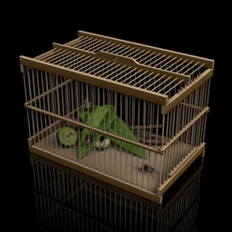 Insect Cage