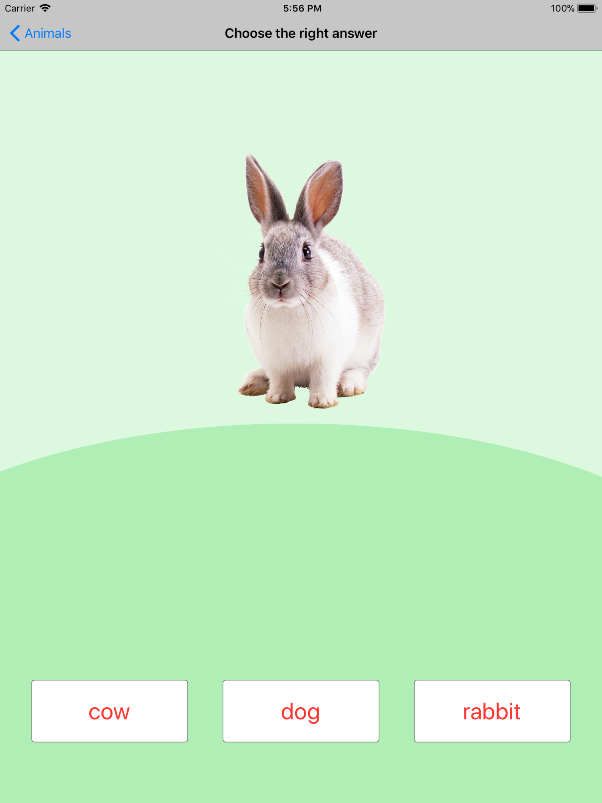 Animals Learning Cards screenshot 11