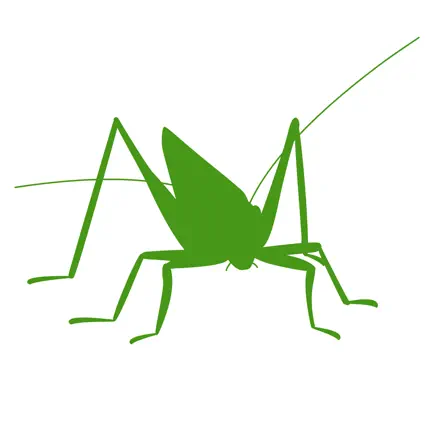 Orthoptera Cheats