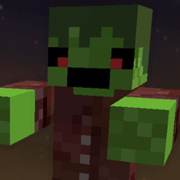 Block Warfare Zombies