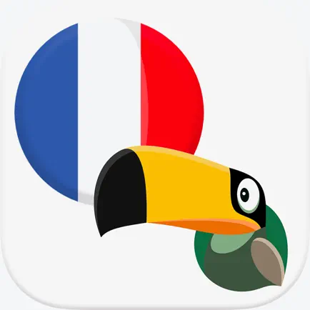 Frenchify - Learn French Now Cheats
