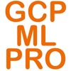 GCP Machine Learning Eng. PRO icon