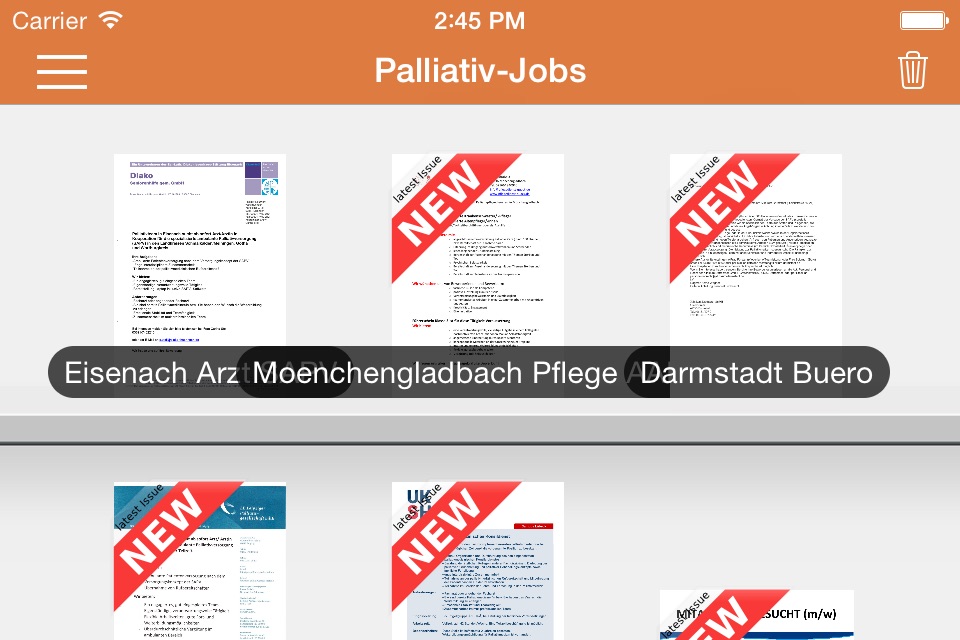 Palliativ-Jobs screenshot 3