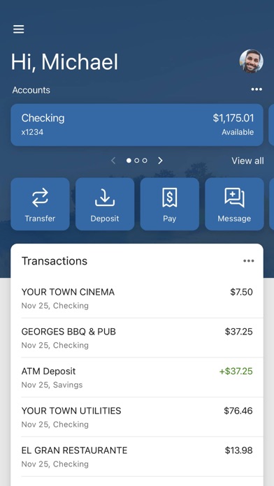 Horatio State Bank Screenshot