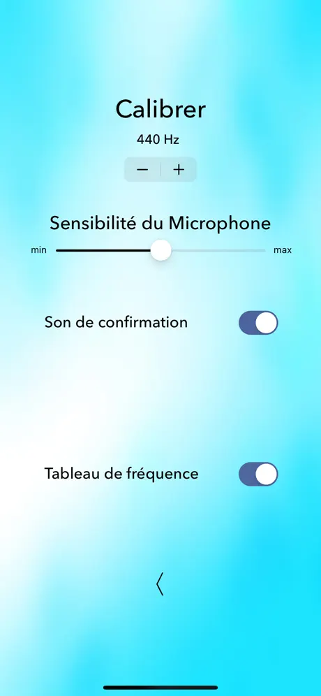 Accordeur Guitare Électrique L