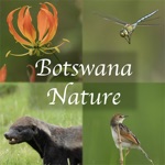 Download Botswana Wildlife Guide app