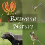 Botswana Wildlife Guide App Support