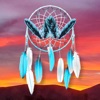 Native American Daily Wisdom - iPadアプリ