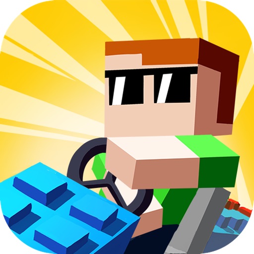 Brick Racing 3D Icon